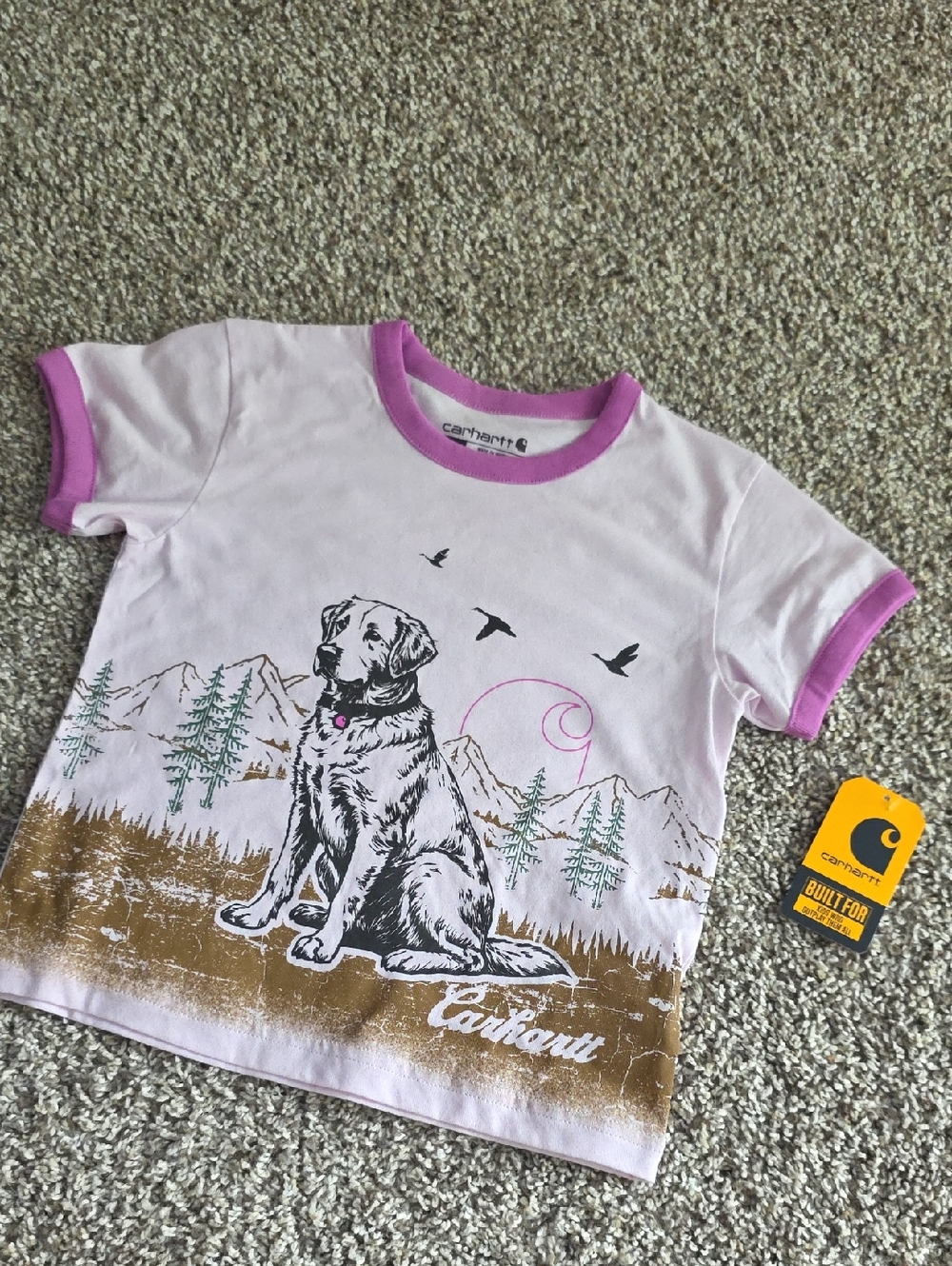 New With Tag Carhartt 4t Purple/pink Short Sleeve Dog Ringer Tshirt